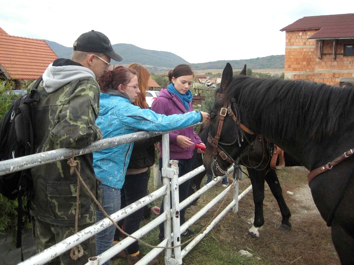img00004.jpg