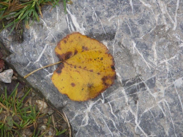 img00045.jpg