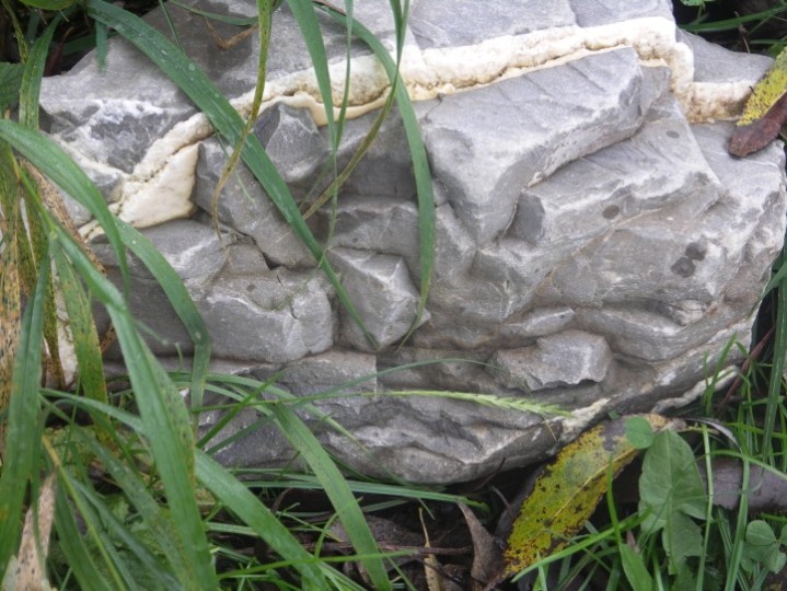 img00048.jpg