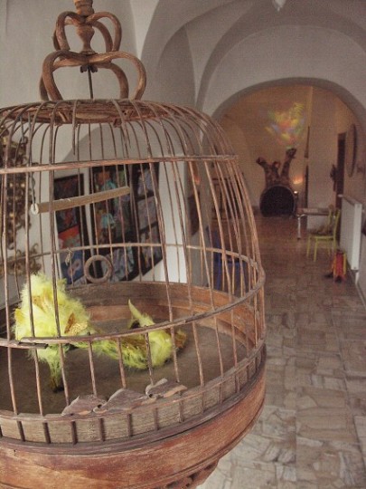 img00033.jpg