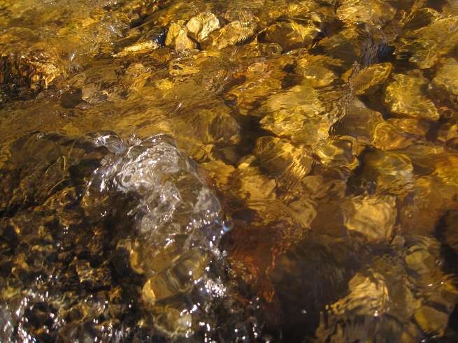 img00017.jpg