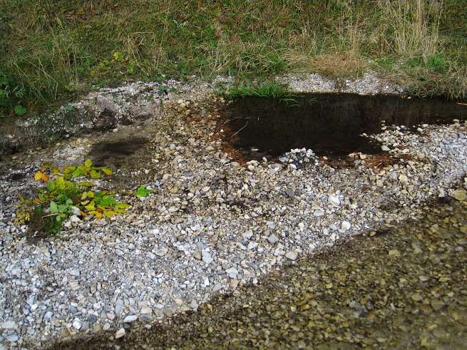 img00029.jpg