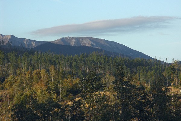 img00009.jpg