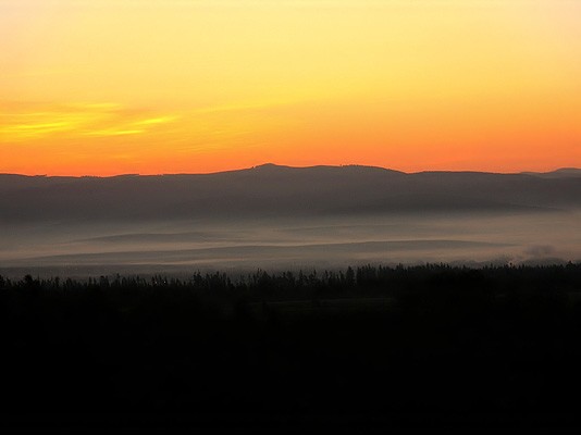 img00016.jpg