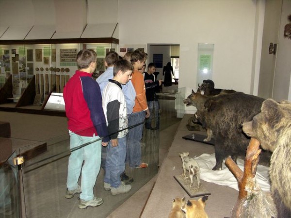 img00001.jpg