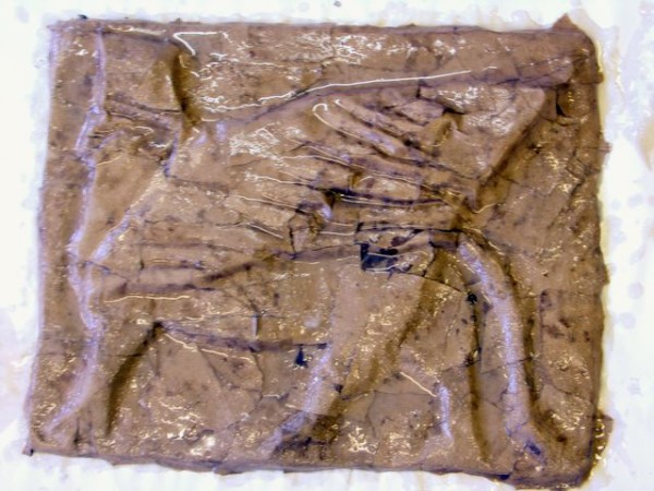 img00039.jpg