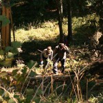Výstup na vrchol Barbolice Výstup na vrchol Barbolice